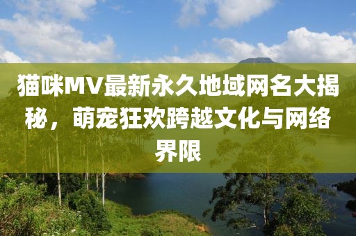貓咪MV最新永久地域網(wǎng)名大揭秘，萌寵狂歡跨越文化與網(wǎng)絡(luò)界限