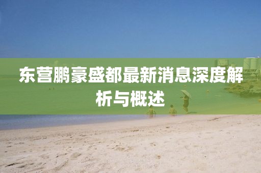東營鵬豪盛都最新消息深度解析與概述