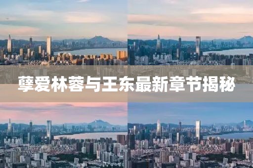 孽愛林蓉與王東最新章節(jié)揭秘