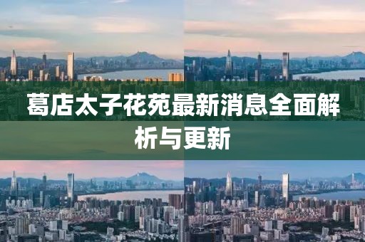 第556頁