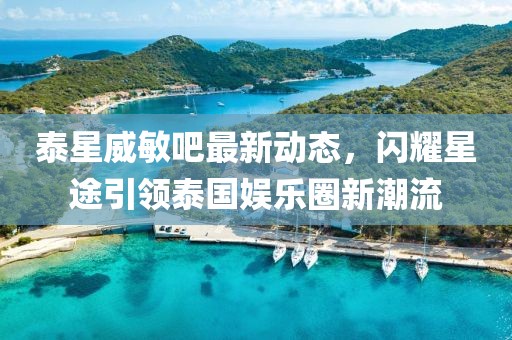 泰星威敏吧最新動態(tài)，閃耀星途引領泰國娛樂圈新潮流