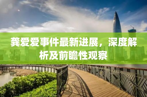 龔愛愛事件最新進(jìn)展，深度解析及前瞻性觀察