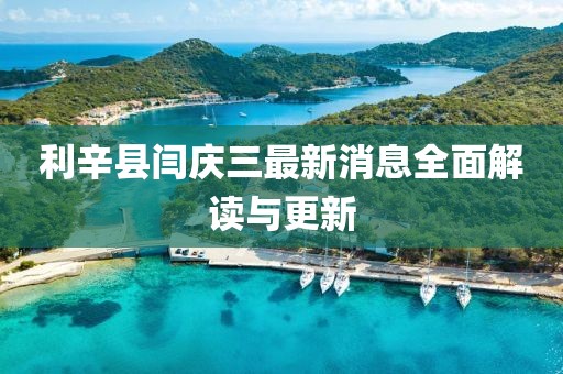 利辛縣閆慶三最新消息全面解讀與更新