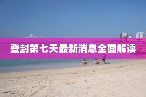 登封第七天最新消息全面解讀