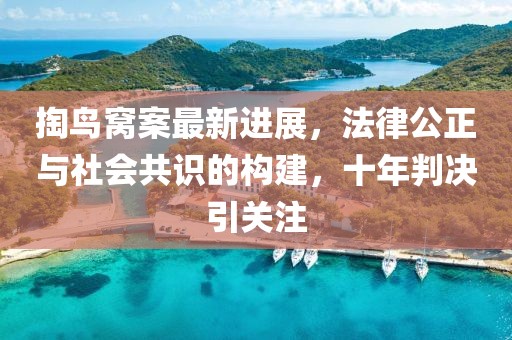 掏鳥(niǎo)窩案最新進(jìn)展，法律公正與社會(huì )共識的構建，十年判決引關(guān)注