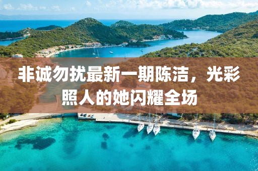非誠勿擾最新一期陳潔，光彩照人的她閃耀全場(chǎng)