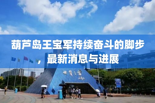 葫蘆島王寶軍持續奮斗的腳步，最新消息與進(jìn)展