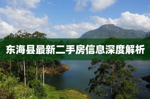 東海縣最新二手房信息深度解析