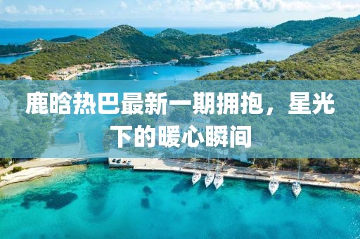 鹿晗熱巴最新一期擁抱，星光下的暖心瞬間