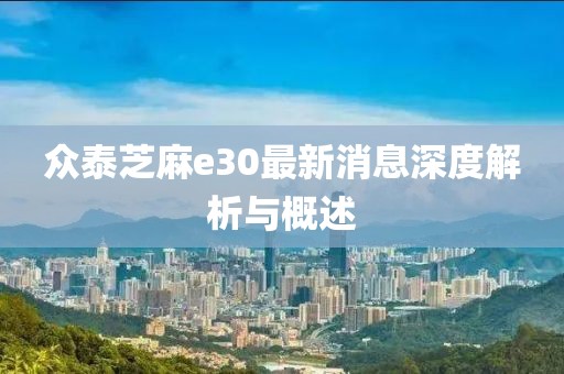 眾泰芝麻e30最新消息深度解析與概述