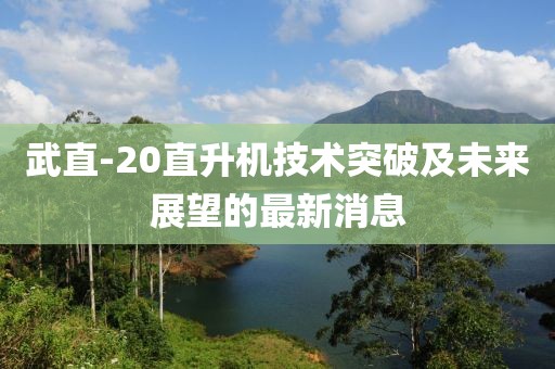 武直-20直升機技術(shù)突破及未來(lái)展望的最新消息