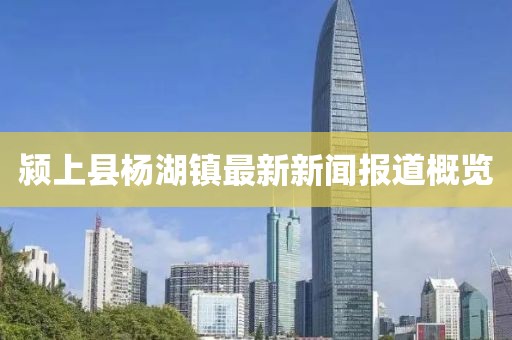 潁上縣楊湖鎮(zhèn)最新新聞報道概覽