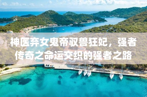 神醫棄女鬼帝馭獸狂妃，強者傳奇之命運交織的強者之路