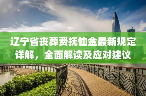 遼寧省喪葬費撫恤金最新規定詳解，全面解讀及應對建議