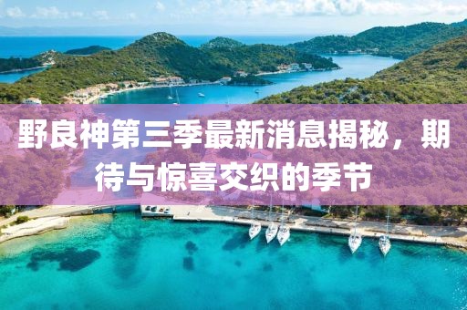 野良神第三季最新消息揭秘，期待與驚喜交織的季節