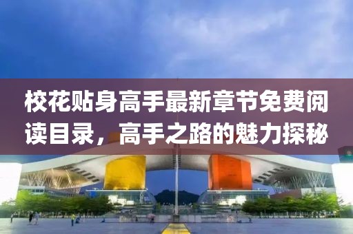 校花貼身高手最新章節免費閱讀目錄，高手之路的魅力探秘