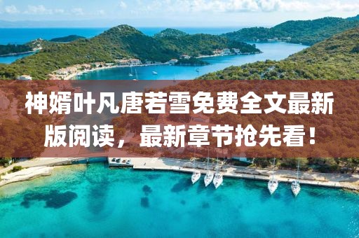 神婿葉凡唐若雪免費全文最新版閱讀，最新章節搶先看！