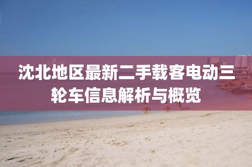 沈北地區最新二手載客電動(dòng)三輪車(chē)信息解析與概覽