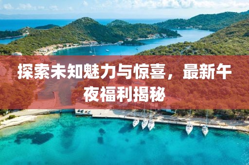探索未知魅力與驚喜，最新午夜福利揭秘