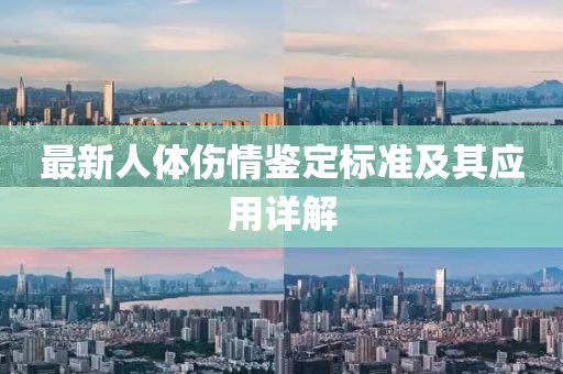最新人體傷情鑒定標(biāo)準(zhǔn)及其應(yīng)用詳解