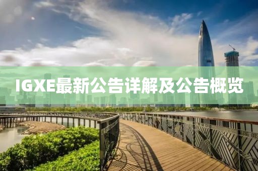 IGXE最新公告詳解及公告概覽