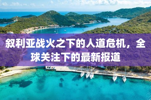 敘利亞戰火之下的人道危機，全球關(guān)注下的最新報道