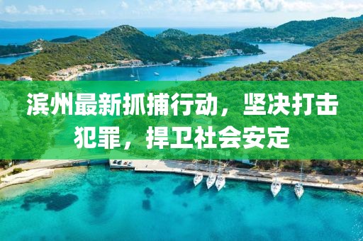 濱州最新抓捕行動(dòng)，堅決打擊犯罪，捍衛社會(huì )安定