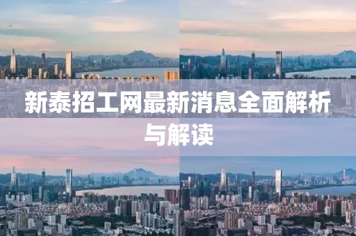 新泰招工網(wǎng)最新消息全面解析與解讀