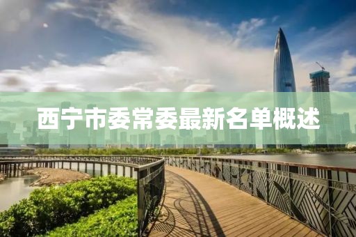 西寧市委常委最新名單概述