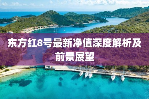 東方紅8號(hào)最新凈值深度解析及前景展望