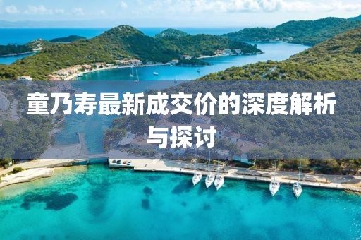 童乃壽最新成交價的深度解析與探討
