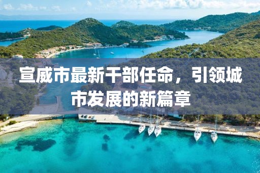 宣威市最新干部任命，引領(lǐng)城市發(fā)展的新篇章
