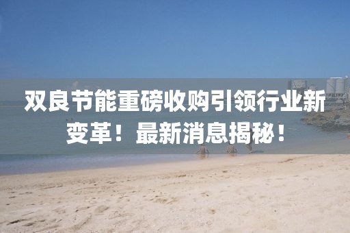雙良節能重磅收購引領(lǐng)行業(yè)新變革！最新消息揭秘！