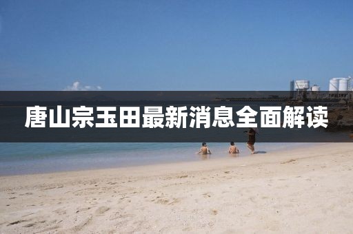 唐山宗玉田最新消息全面解讀