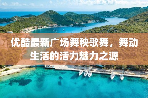 優(yōu)酷最新廣場舞秧歌舞，舞動生活的活力魅力之源