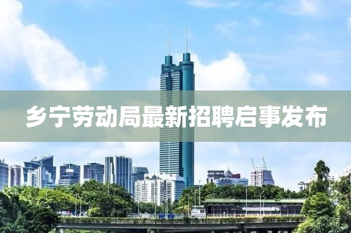 鄉(xiāng)寧勞動局最新招聘啟事發(fā)布