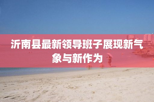 沂南縣最新領(lǐng)導(dǎo)班子展現(xiàn)新氣象與新作為