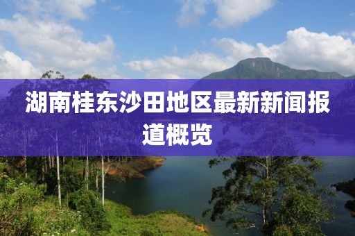 湖南桂東沙田地區最新新聞報道概覽