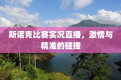 斯諾克比賽實況直播，激情與精準的碰撞