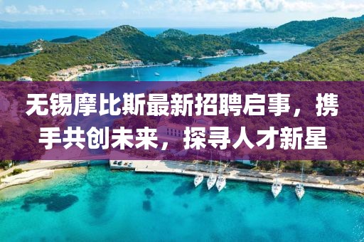 無(wú)錫摩比斯最新招聘啟事，攜手共創(chuàng)未來(lái)，探尋人才新星