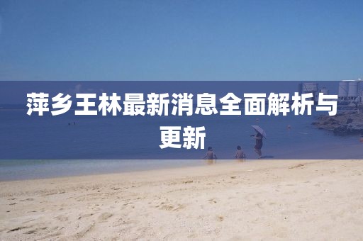 萍鄉(xiāng)王林最新消息全面解析與更新