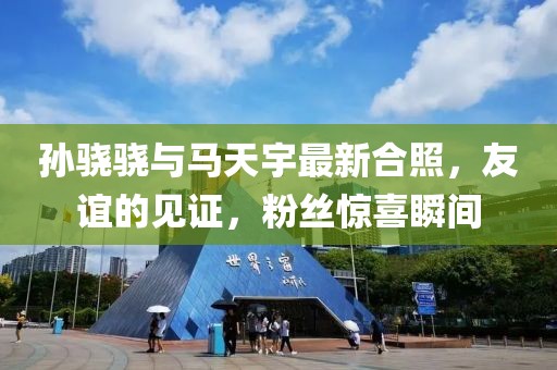 孫驍驍與馬天宇最新合照，友誼的見(jiàn)證，粉絲驚喜瞬間