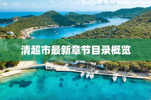 清超市最新章節目錄概覽