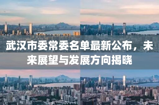 武漢市委常委名單最新公布，未來展望與發(fā)展方向揭曉
