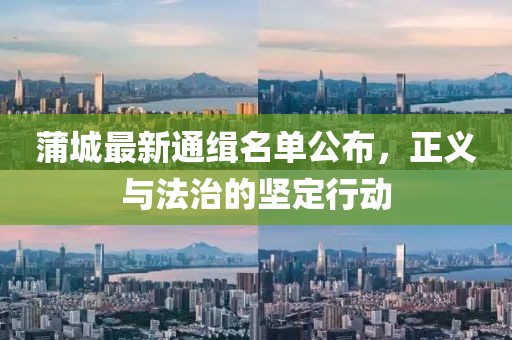 蒲城最新通緝名單公布，正義與法治的堅(jiān)定行動(dòng)