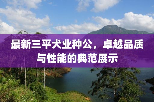 最新三平犬業(yè)種公，卓越品質(zhì)與性能的典范展示