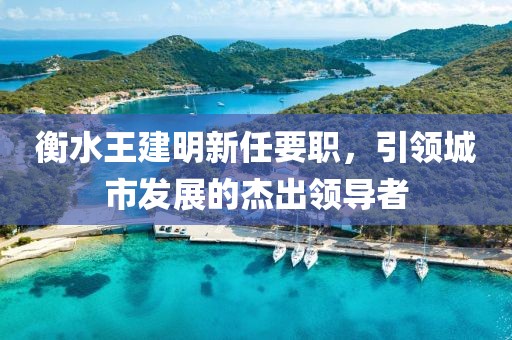 衡水王建明新任要職，引領城市發(fā)展的杰出領導者