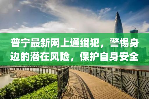 普寧最新網(wǎng)上通緝犯，警惕身邊的潛在風險，保護自身安全