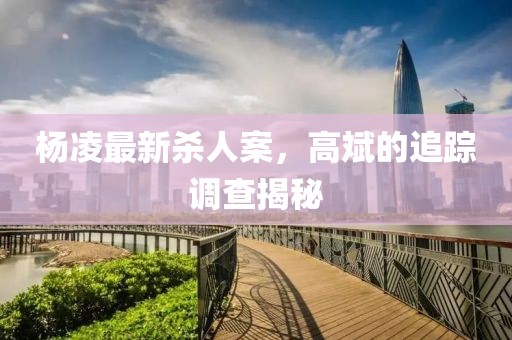楊凌最新殺人案，高斌的追蹤調(diào)查揭秘