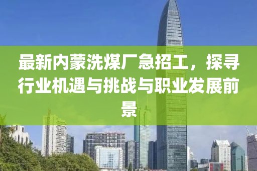 最新內(nèi)蒙洗煤廠急招工，探尋行業(yè)機(jī)遇與挑戰(zhàn)與職業(yè)發(fā)展前景